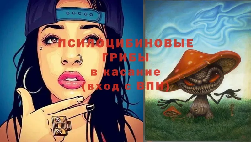 Галлюциногенные грибы Psilocybine cubensis  Балабаново 